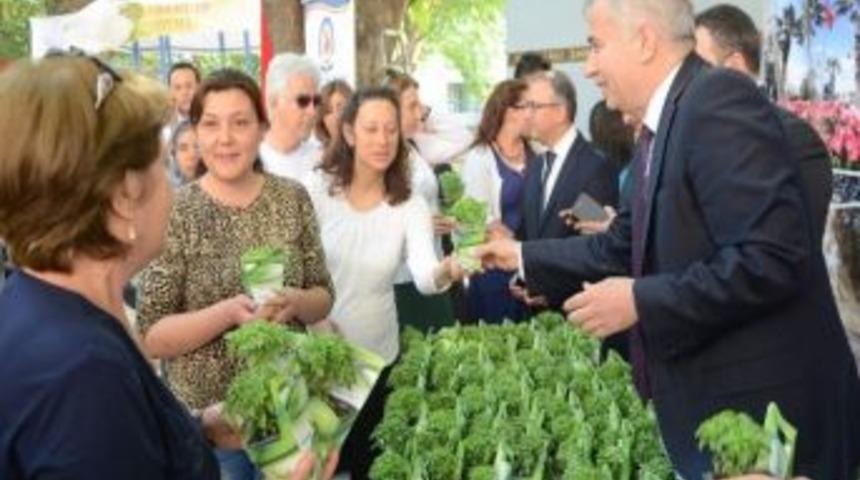 Denizli'de "3. Merkezefendi Geleneksel Tıp Festivali" Başladı