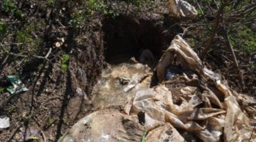 Muş'ta PKK'nın Erzak Deposu Bulundu