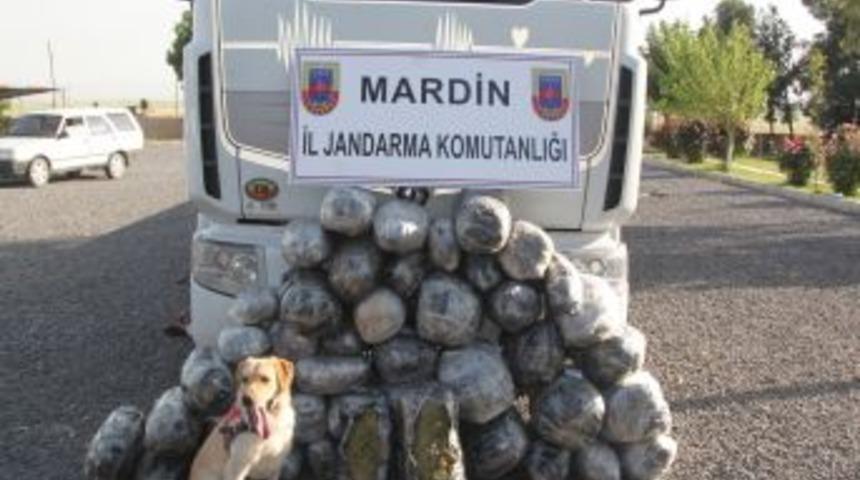Mardin'de 170 Kilo Esrar Ele Geçirildi