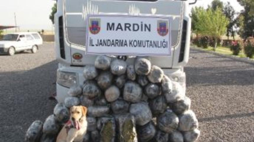 Mardin'de 170 Kilo Esrar Ele Ge&ccedil;irildi