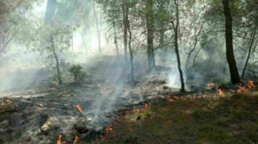 Muğla'da Yıldırım Orman Yaktı