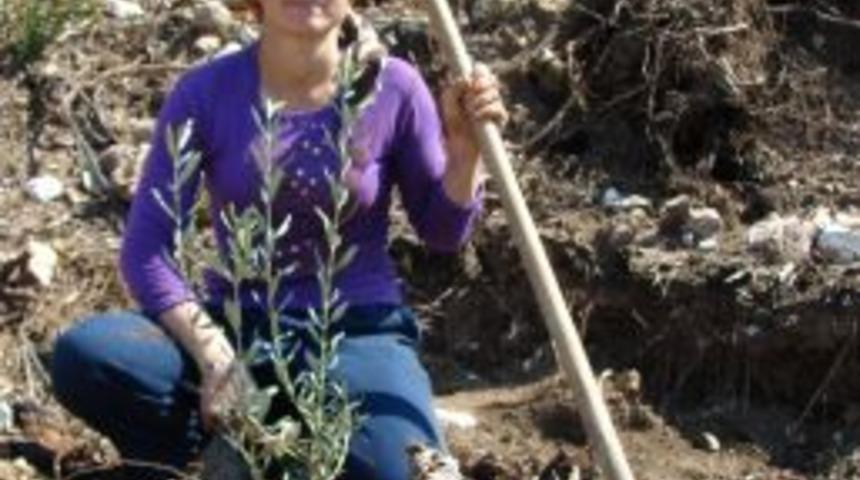 Yangın Sonrası 10 Bin Hektar Alana Dikilen Fidanların Bakımı Yapıldı