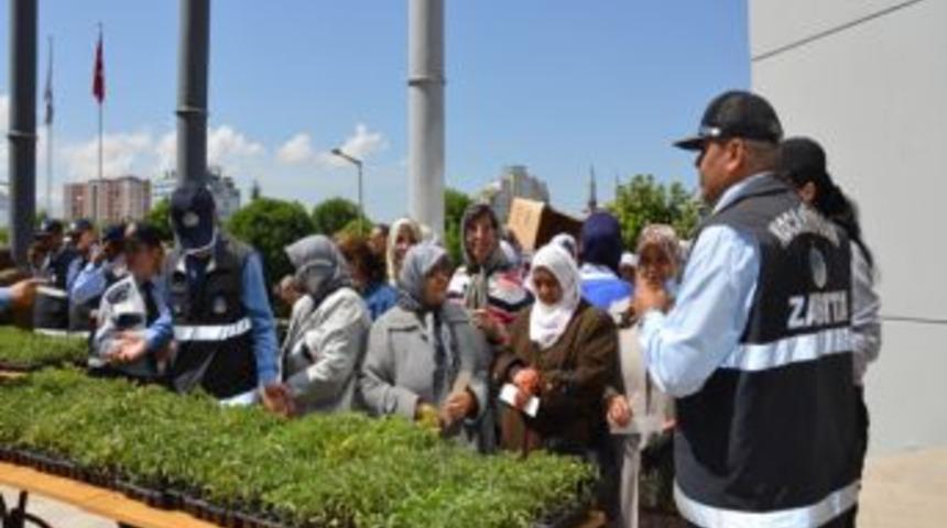Kocasinan Belediyesi, Organik Domates Fidesi Dağıttı