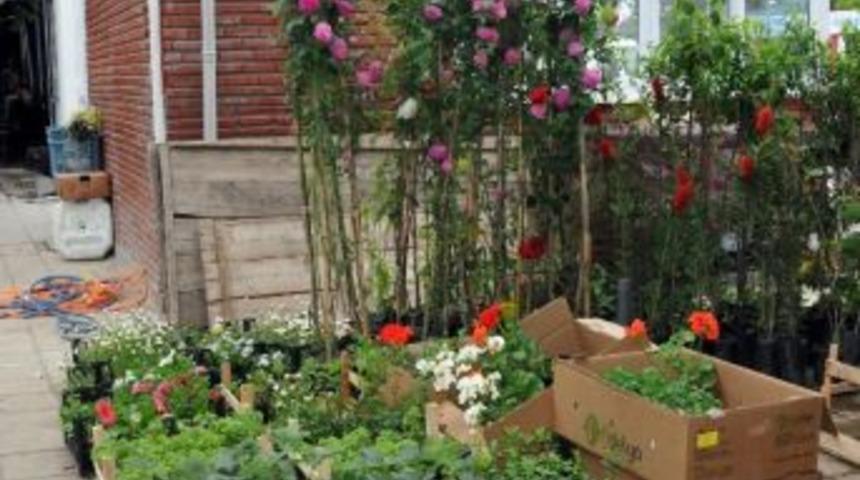 Baharla Birlikte Fide Satışları Tavan Yaptı