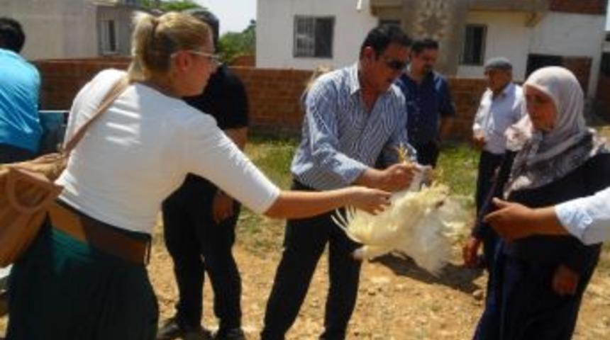 Didim&rsquo;de Parti Eğitimi Kapsamında K&ouml;yl&uuml;lere Chp&rsquo;den &Uuml;cretsiz Tavuk&hellip;
