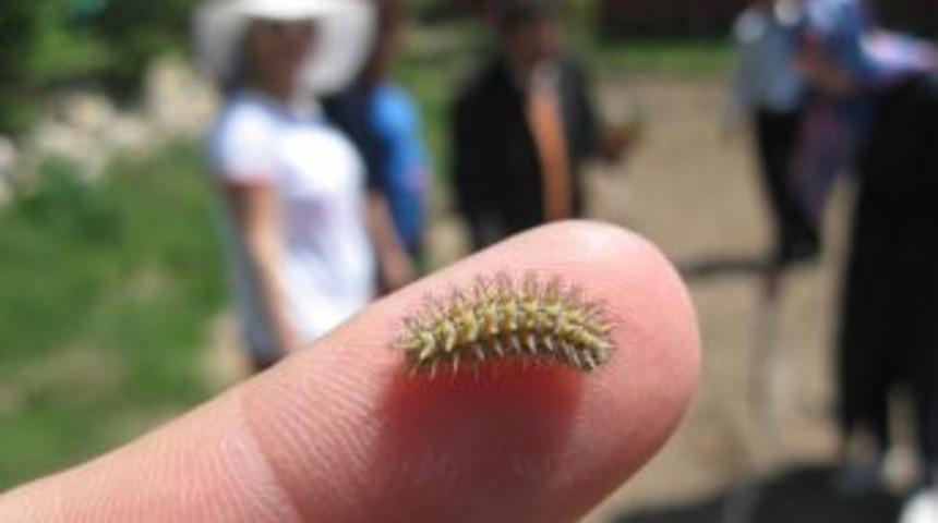 TEMA Kayseri'de &Ouml;ğretmenlere 'Ekolojik Okuryazarlık' Eğitimi Verdi