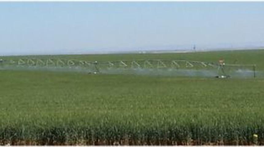 Ceylanpınar'ın dev makinaları