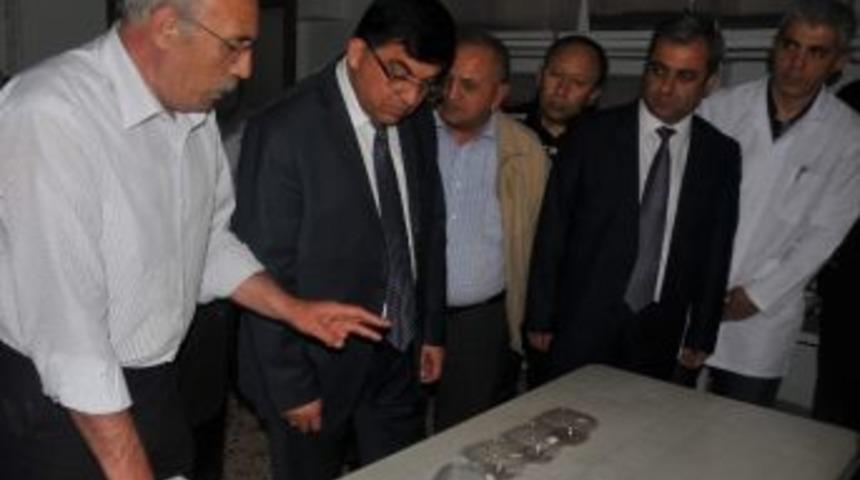 Gaziantep&rsquo;te &Ccedil;am Kese Boceği Biyoloji M&uuml;cadele Laboratuvarı Kuruldu