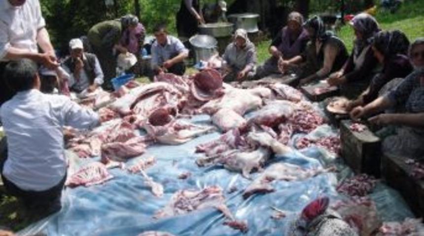 Sarıg&ouml;l'de 300 Yıllık Gelenek S&uuml;r&uuml;yor