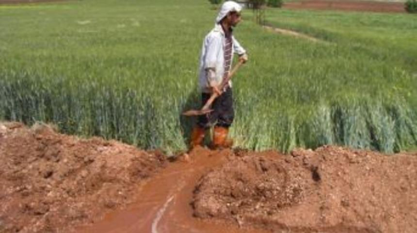 Araban Ovası&rsquo;nda Buğday Ve Arpa Sulamaları Başladı