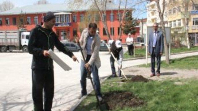 Ardahan Belediyesi Çevre Temizliği Ve Fidan Dikim Çalışmalarına Başladı