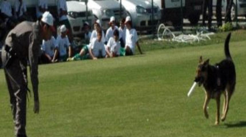 Polis K&ouml;pekleri, Kokainde Polisi Ge&ccedil;ti