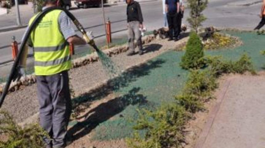 Son Teknoloji Çimleme Yöntemi İlk Kez Mamak’ta