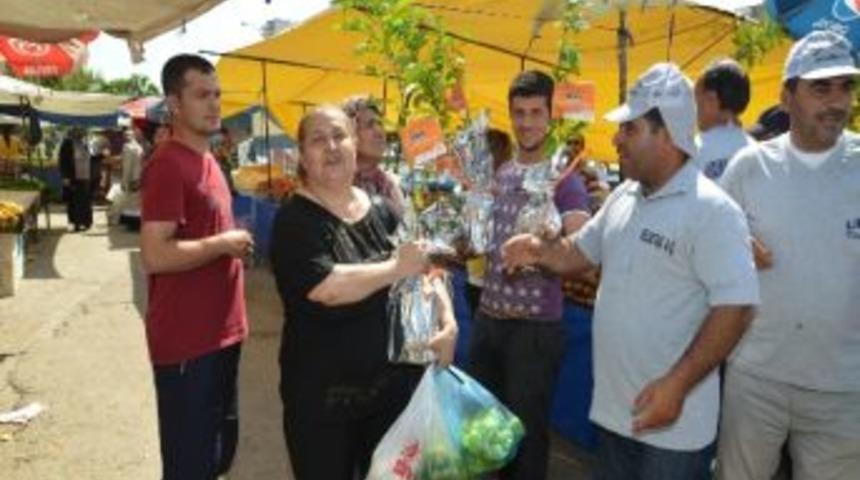Her Aileye Bir Turunç Fidanı