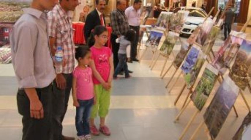 Polat G&uuml;nleri İlgi G&ouml;rd&uuml;