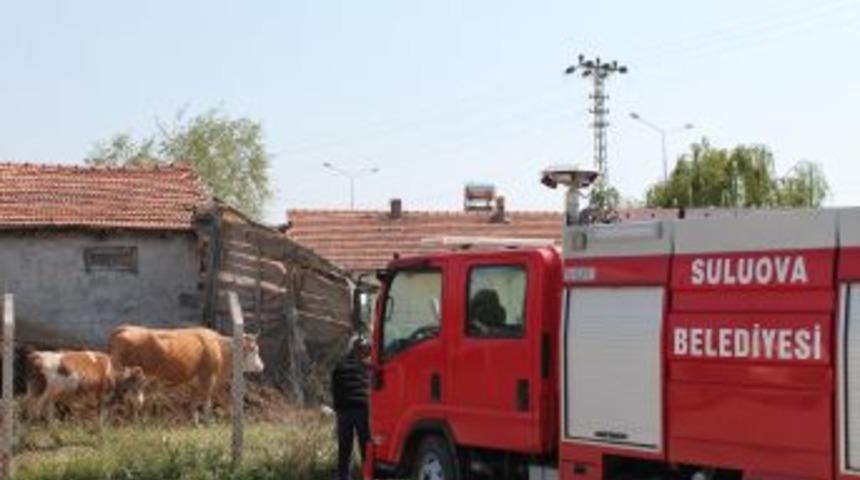 G&uuml;breliğe Saplanan Danayı Itfaiye G&uuml;&ccedil;l&uuml;kle Kurtardı