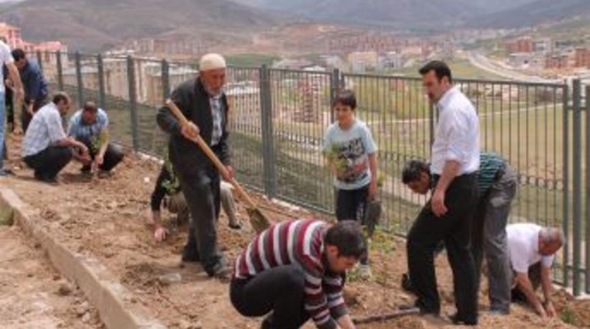 Aba Koleji Bah&ccedil;esinde Herfene Ve Ağa&ccedil; Dikme Programı
