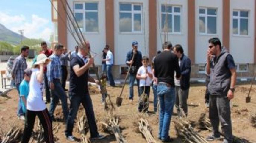 Gevaş&rsquo;ta Fidan Dikimi