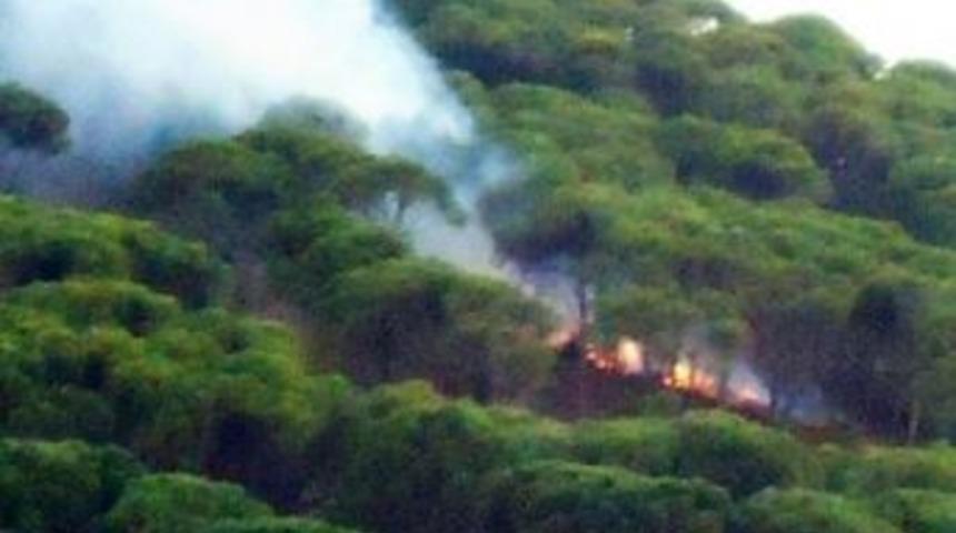 Edremit&rsquo;te Piknik&ccedil;iler Yangın &Ccedil;ıkardı