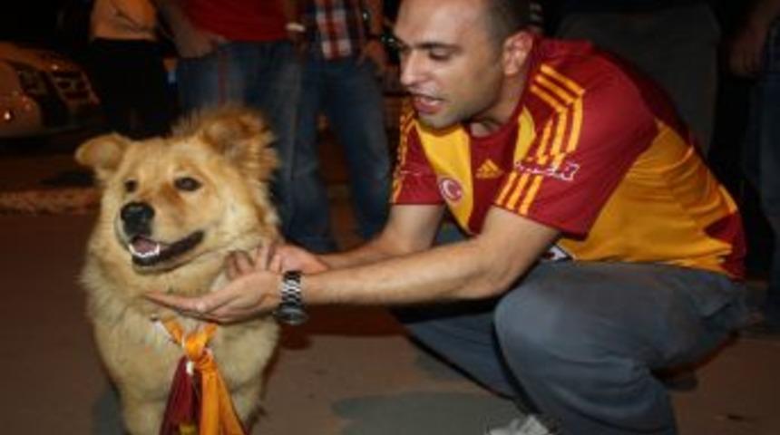 Bursa'da Galatasaraylıların Şampiyonluk Coşkusu