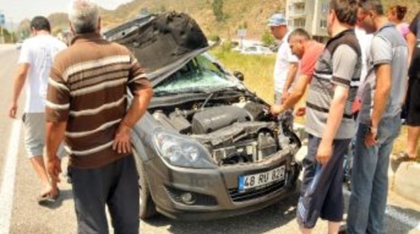 Ortaca'da Trafik Kazası