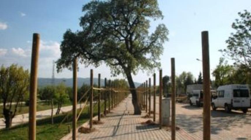 Yaşam Parkı'na Fuar Stantları