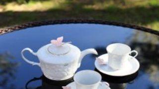 Sema Güral Sürmeli Anneler İçin Tasarladı