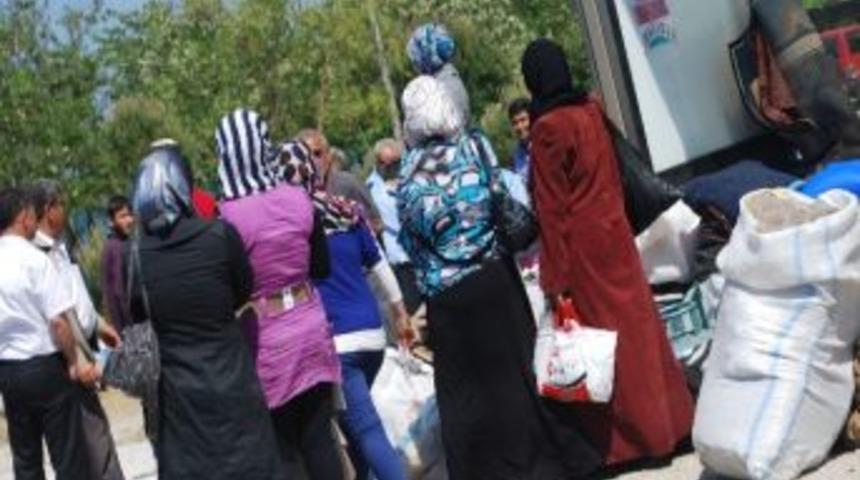 Suriyeli Sığınmacılar Lapseki'de Mevsimlik Tarım İş&ccedil;iliği Yapıyor