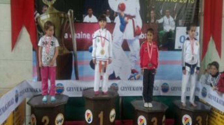 Hendekli Karatecilerden 27 Madalya