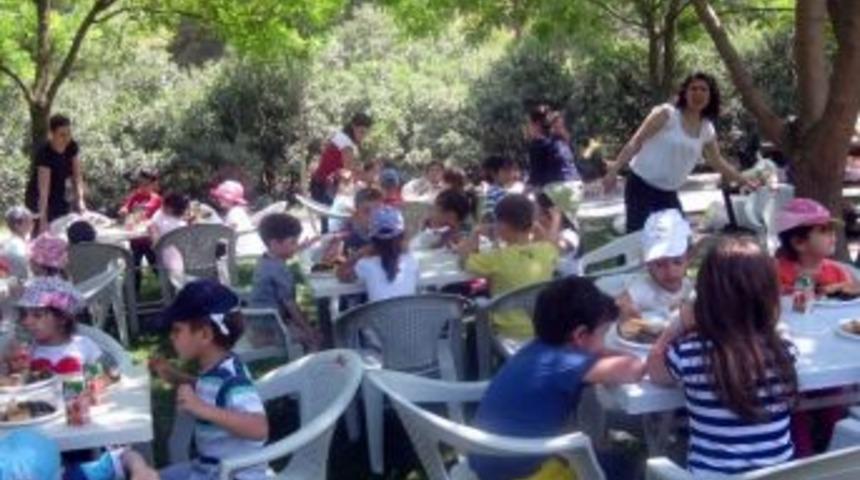 Anaokulu Öğrencileri İçin Bahar Pikniği Düzenlendi