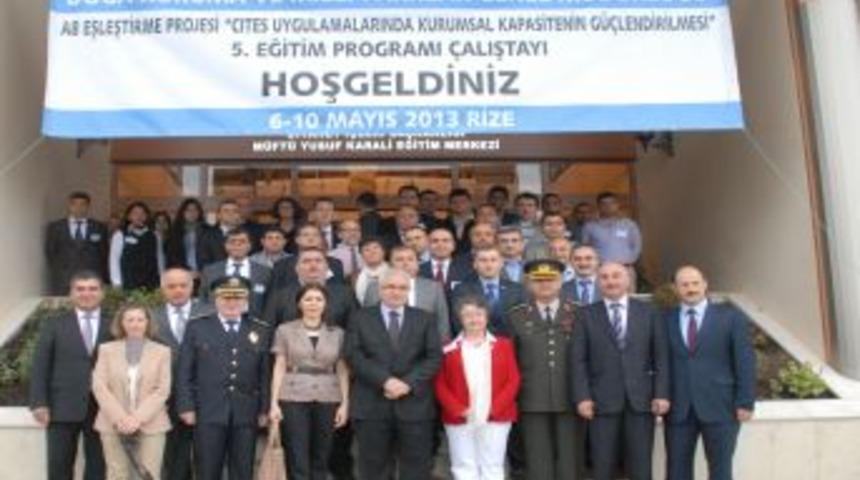 Kiriş: Sanayileşme Ile Doğada Bir&ccedil;ok Canlı T&uuml;r&uuml; Yok Olmuştur