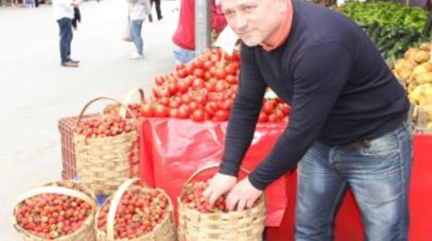 Bartın &Ccedil;ileği G&ouml;r&uuml;c&uuml;ye &Ccedil;ıktı