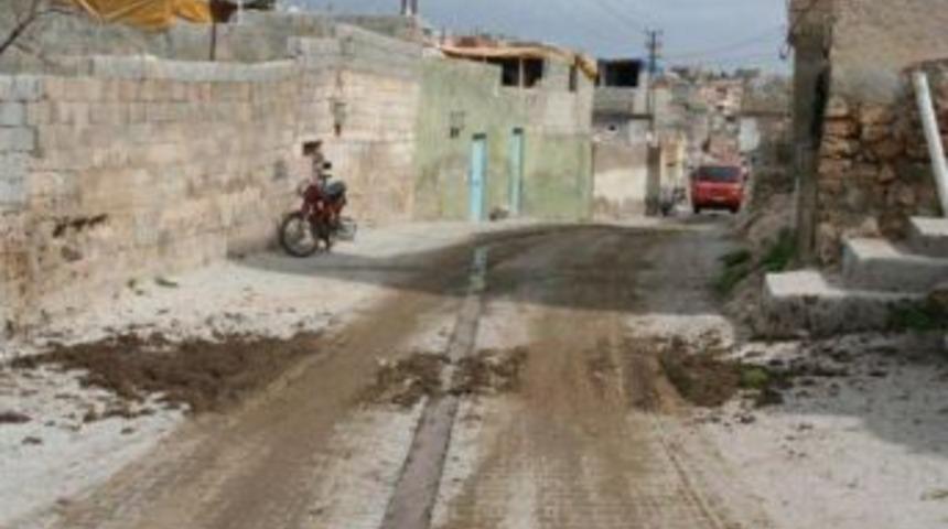 Urfa&rsquo;yı sinekler istila etti