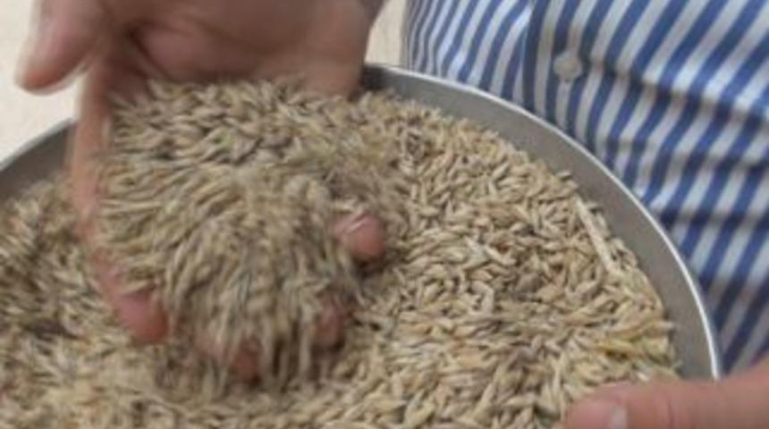 Urfa&rsquo;da arpa para etmedi