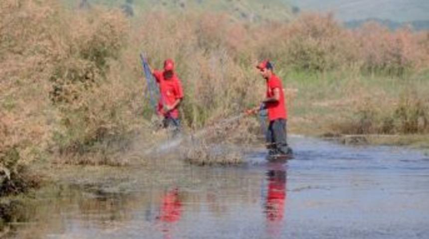 Aliağa&rsquo;da Sivrisinek İla&ccedil;laması S&uuml;r&uuml;yor