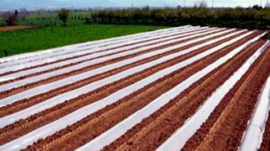 Aydın&rsquo;dan Karpuzculuk Atağı