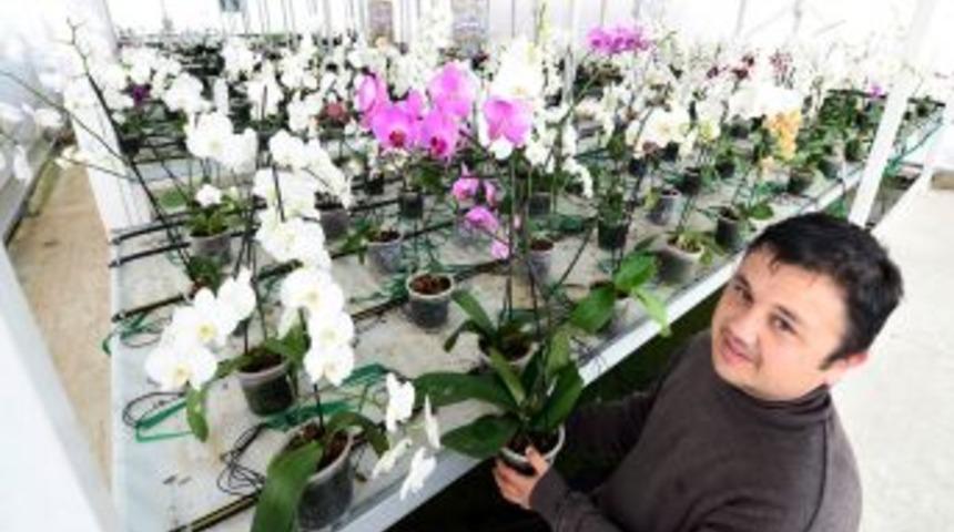 Mamak &Ccedil;&ouml;pl&uuml;ğ&uuml; Orkidelerle S&uuml;slendi