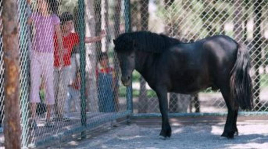 Anadolu Harikalar Diyarı&rsquo;nda, Iki Hayvanat Bah&ccedil;esi Olacak