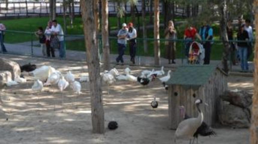 Kayseri'ye Bir Değil, İki Hayvanat Bah&ccedil;esi
