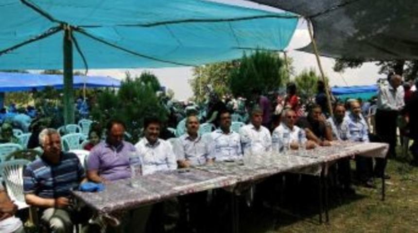 Arap Dede Şenlikleri İlgi G&ouml;rd&uuml;