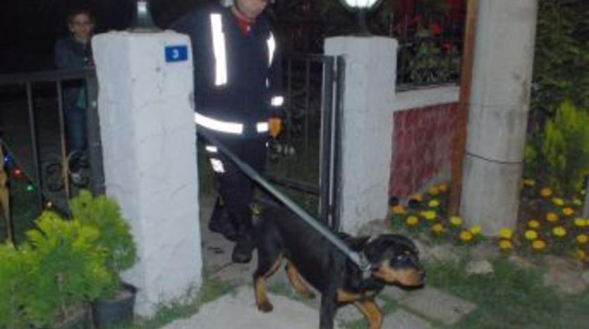 Demir Kapıya Sıkışan Köpeği Itfaiye Kurtardı