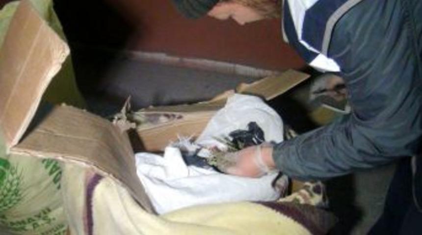 Aksaray’da Durdurulan Kamyonda 32 Kilo Esrar Çıktı