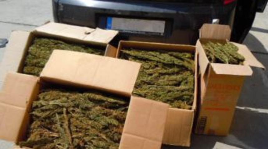 Tarsus&rsquo;ta 35 Kilo Esrar Ele Ge&ccedil;irildi