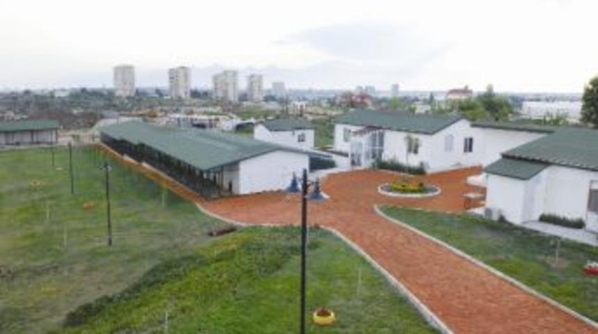 Muratpaşa&rsquo;dan Sokak Hayvanlarına Sıcak Yuva