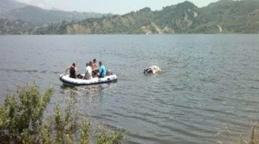 Baraj G&ouml;l&uuml;nde &Ouml;len İnek Dalgı&ccedil; Polislerin Yardımıyla &Ccedil;ıkarıldı