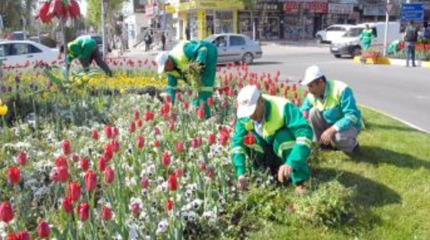 Belediye Atat&uuml;rk Bulvarı'nda Bakım Yapıyor