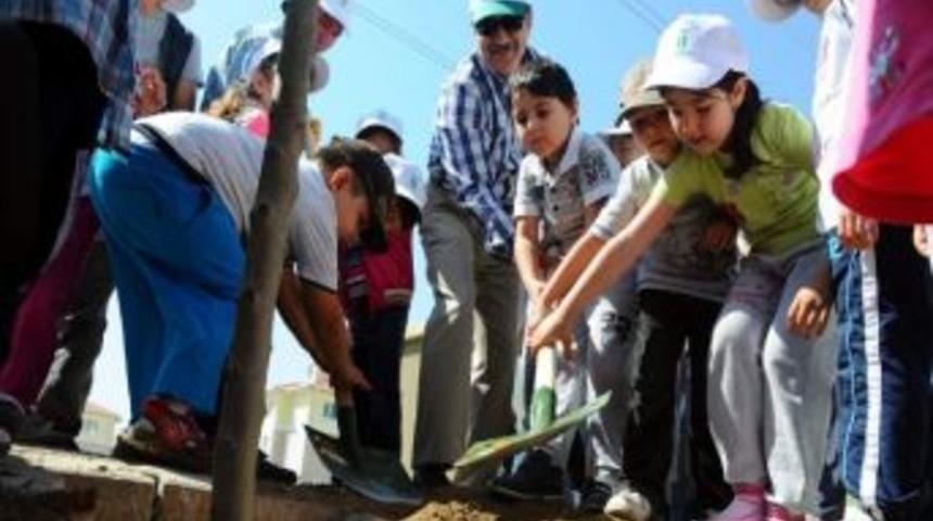 Tepebaşı&rsquo;nda Sokaklar Ağa&ccedil;landırıldı