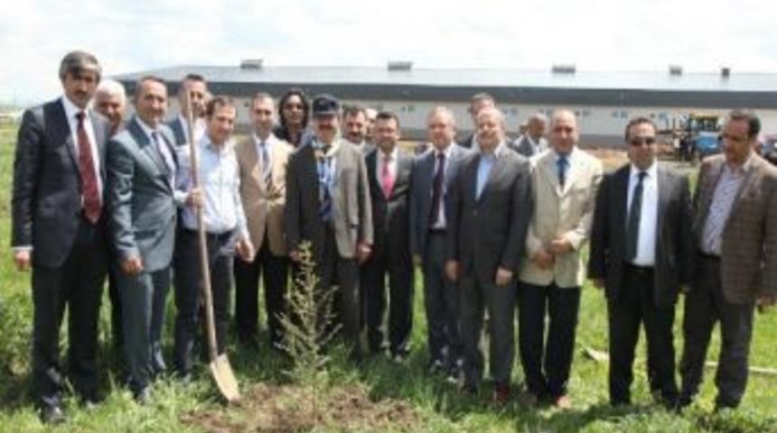 İbrahim &Ccedil;e&ccedil;en &Uuml;niversitesi&rsquo;nde Fidan Dikimi