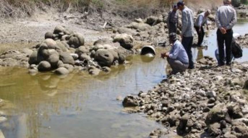 Sakarya Nehri Kurudu, &Ccedil;ift&ccedil;i Endişeli