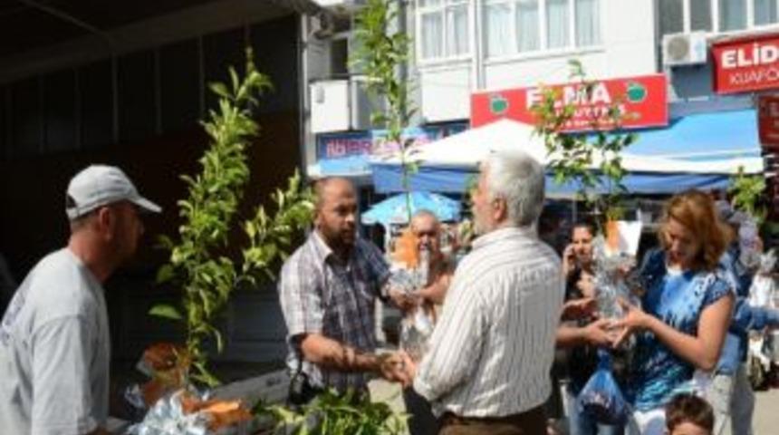 B&uuml;y&uuml;kşehir&rsquo;in Turun&ccedil; Fidanı Kampanyası S&uuml;r&uuml;yor